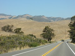 DSCN4991