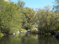 _SCN0942