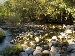 _SCN0959