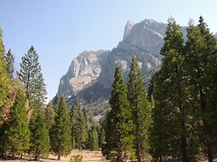 Zumwalt Meadow in Kings Canyon NP