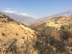 Kings Canyon