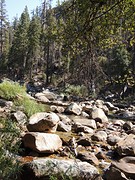 Kings River