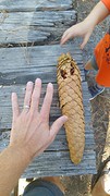 20160924_112551
