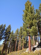 DSCN5339