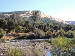 American River