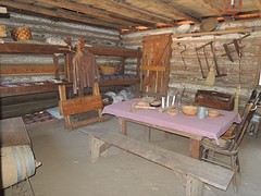 DSCN5383