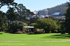 DSC_1010