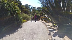 20161001_140807