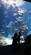 Aquarium in Academy of Sciences