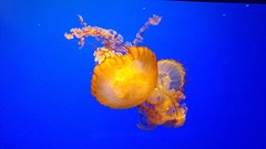 20161003_133643