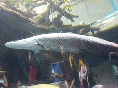 DSCN1290