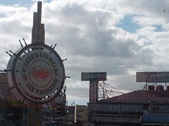 DSCN1356