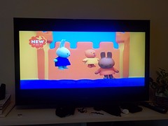 Nijntje op tv!