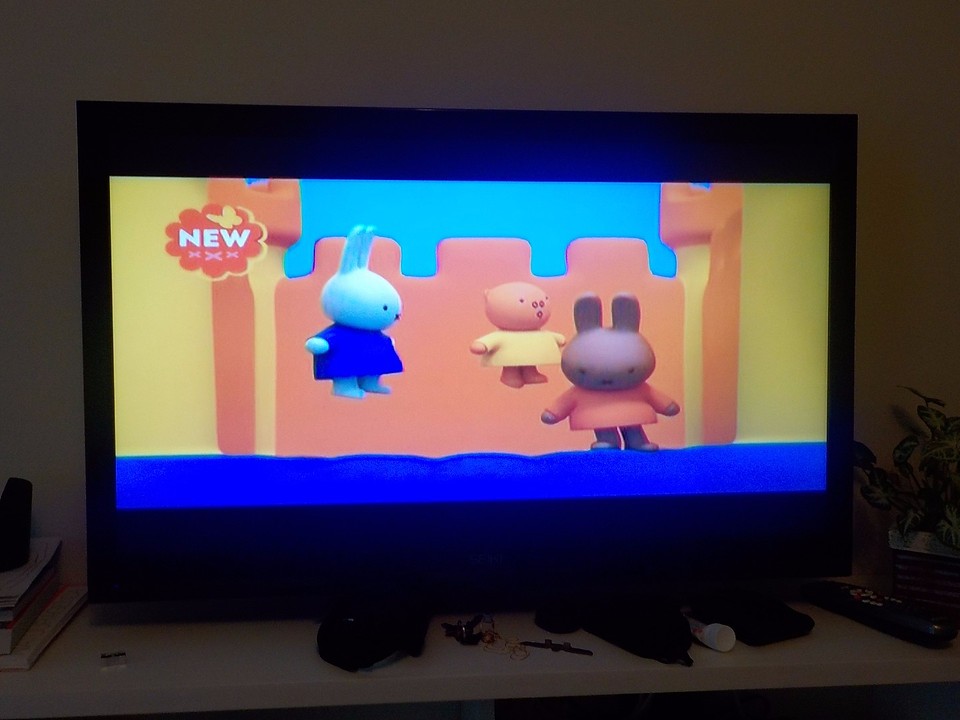 Nijntje op tv!