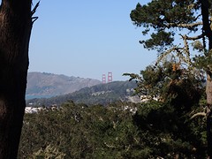 Golden Gate Bridge vanaf Strawberry Hill