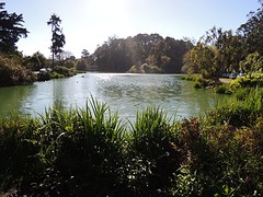 Stowe Lake