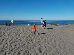 Ocean Beach
