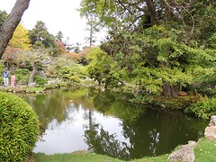 Japanese Tea Garden in Golden Gate Park