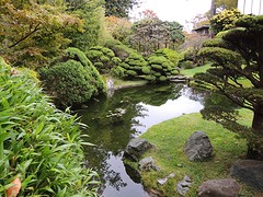 Japanese Tea Garden in Golden Gate Park