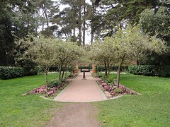 Shakespeare Garden in Golden Gate Park