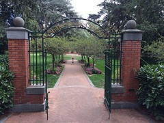 Shakespeare Garden in Golden Gate Park