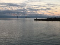 IMG_6239