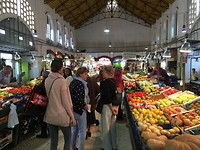 IMG_6305