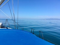 IMG_6442