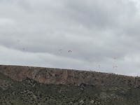 IMG_6271