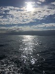 Zonsopkomst boven een fishfarm