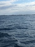 Fishfarms