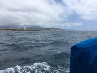 Tarifa