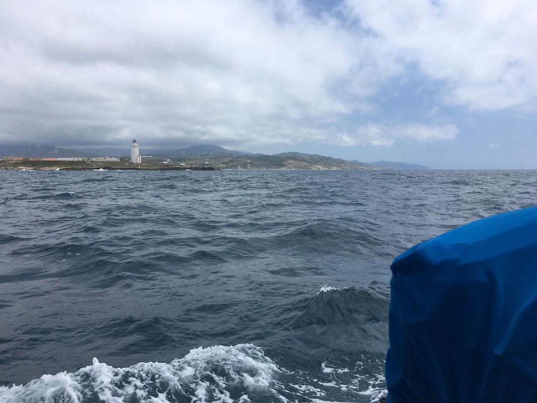 Tarifa