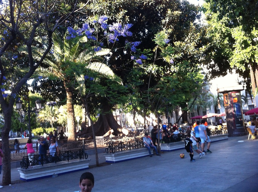 plaza