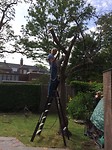 Bruce pakt de boom aan