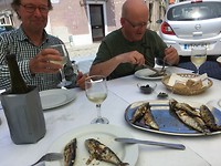 Sardines als voorgerecht