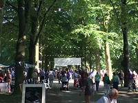 Feest in de straten van Viana