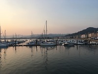 Alcyone in Baiona