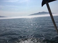 Onderweg mist