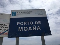 Moana