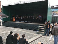 Festival de Afarada