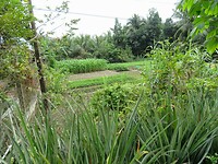 IMG_9975