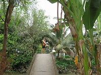 IMG_9976