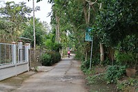 IMG_8122