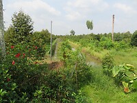 IMG_0046