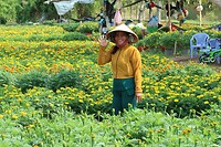 IMG_8166