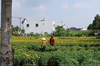 IMG_8167