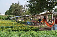 IMG_8168