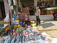 IMG_0126
