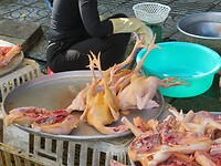 IMG_0127